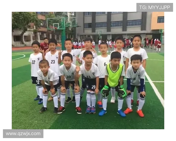 从生命之杯到法兰西之夏的激情回响与足球记忆的时代狂欢与青春梦